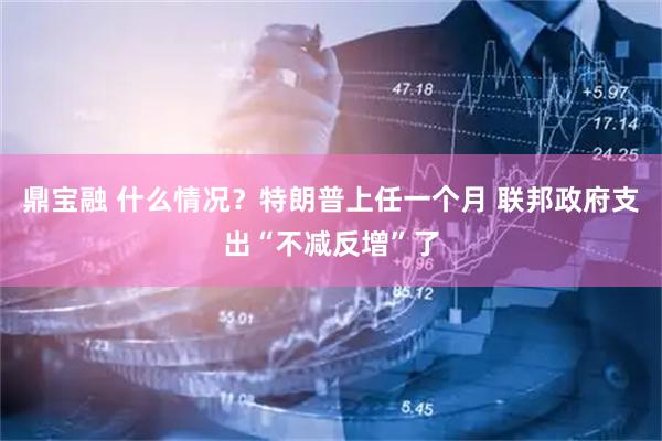 鼎宝融 什么情况？特朗普上任一个月 联邦政府支出“不减反增”了