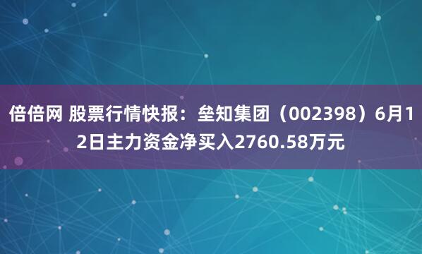 倍倍网 股票行情快报：垒知集团（002398）6月12日主力资金净买入2760.58万元