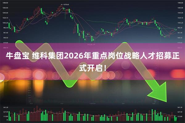 牛盘宝 维科集团2026年重点岗位战略人才招募正式开启！